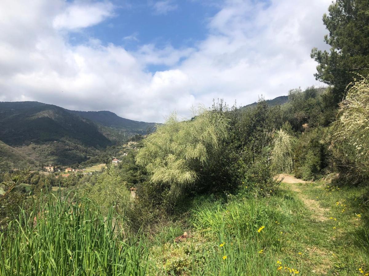 סנרמו Villa D'Artisti מראה חיצוני תמונה