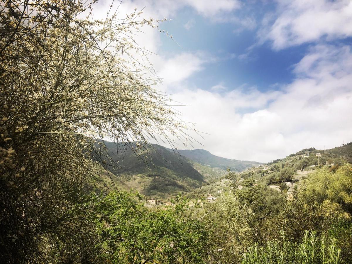 סנרמו Villa D'Artisti מראה חיצוני תמונה