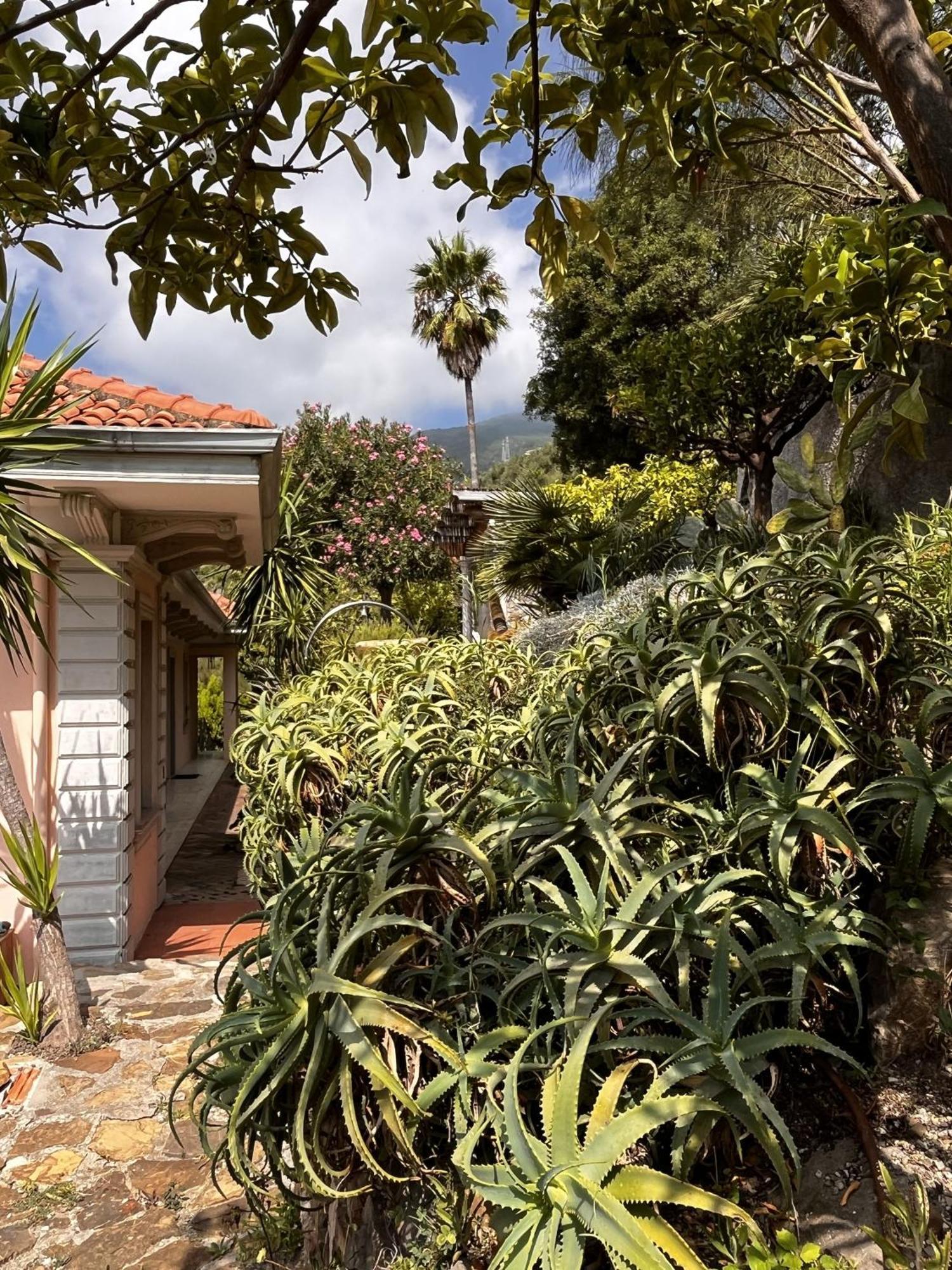 סנרמו Villa D'Artisti מראה חיצוני תמונה