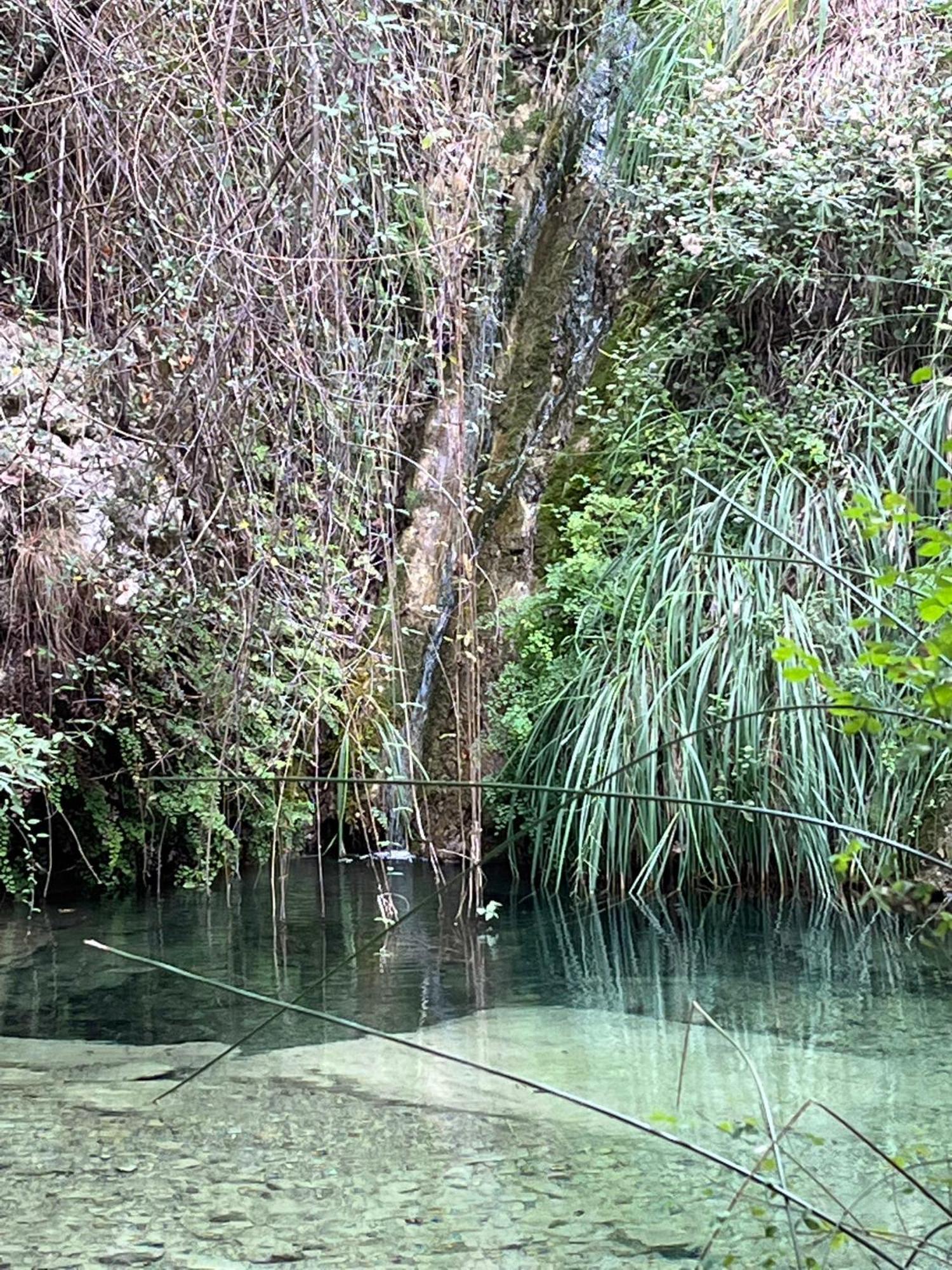 סנרמו Villa D'Artisti מראה חיצוני תמונה